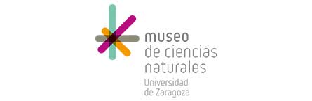 Logotipo_Museo_zaragoza