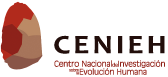 Logo Centro Nacional de Investigación de la Evolución Humana