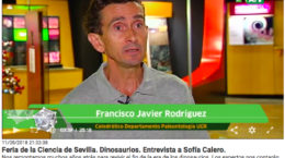 Entrevista Francisco Rodriguez Tovar