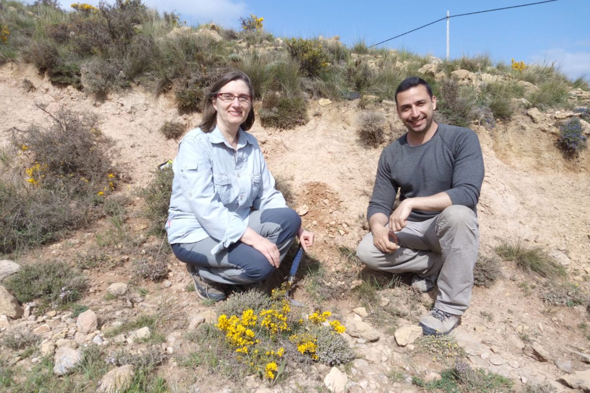 Daniel DeMiguel (investigador ARAID) y Beatriz Azanza (Profesora Titular), investigadores de la Universidad de Zaragoza autores del trabajo muestreando en campo.