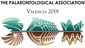 Congreso de la PalAss en Valencia 2019