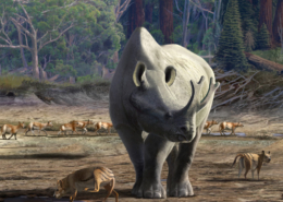 La evolución de las ‘bestias del trueno’