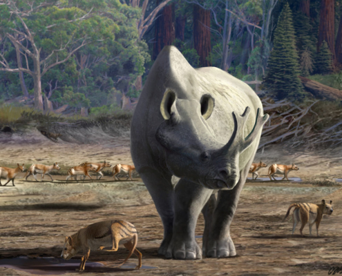 La evolución de las ‘bestias del trueno’