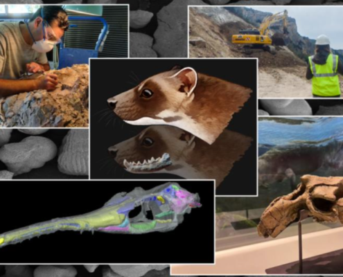 La Universidad de Zaragoza implanta el próximo curso 2024:25 un nuevo Máster Oficial en Paleontología