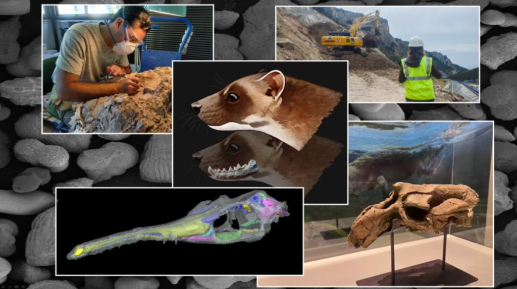 La Universidad de Zaragoza implanta el próximo curso 2024:25 un nuevo Máster Oficial en Paleontología