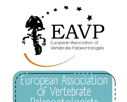 Logo European Association of Vertebrate Palaeontologists