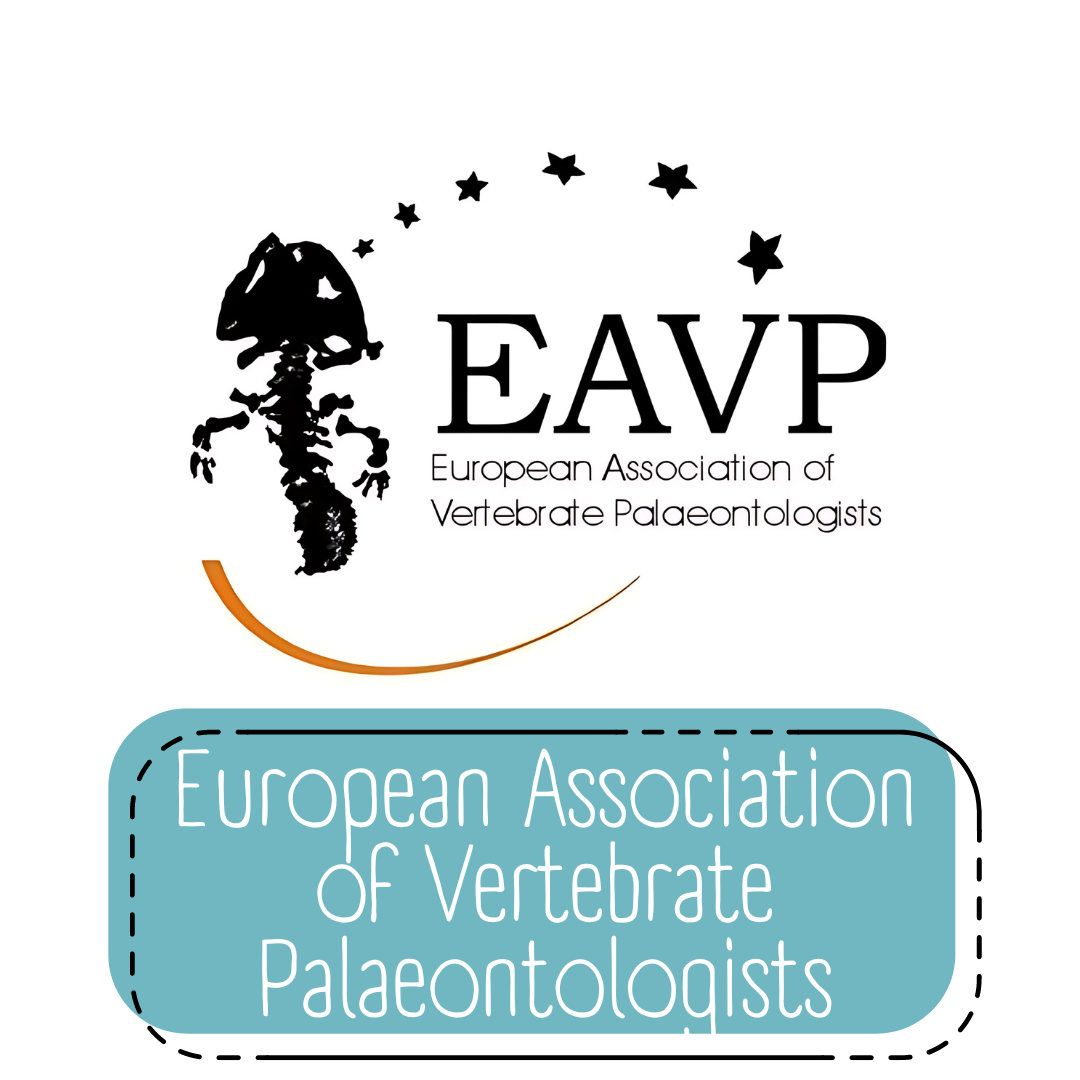 Logo European Association of Vertebrate Palaeontologists