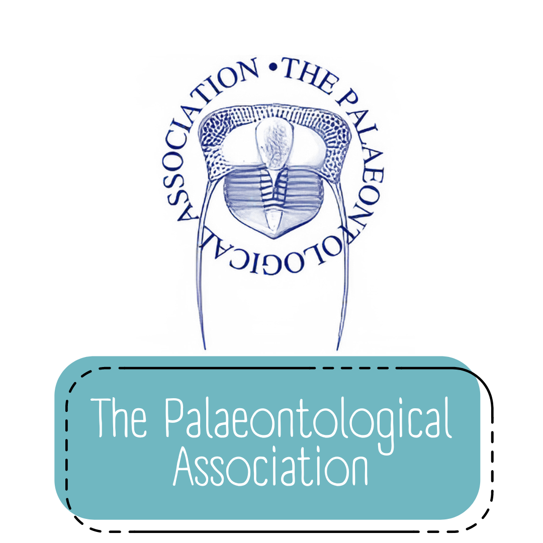 Logo Palaeontological Association