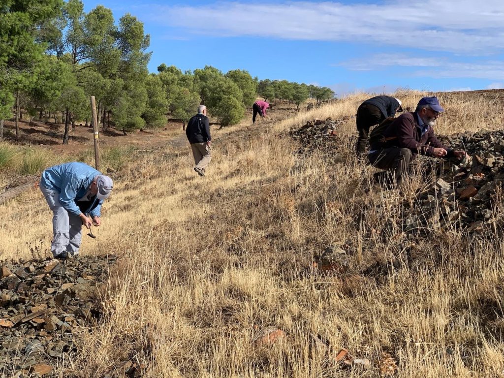 Nuevos trilobites del Cámbrico de Toledo2