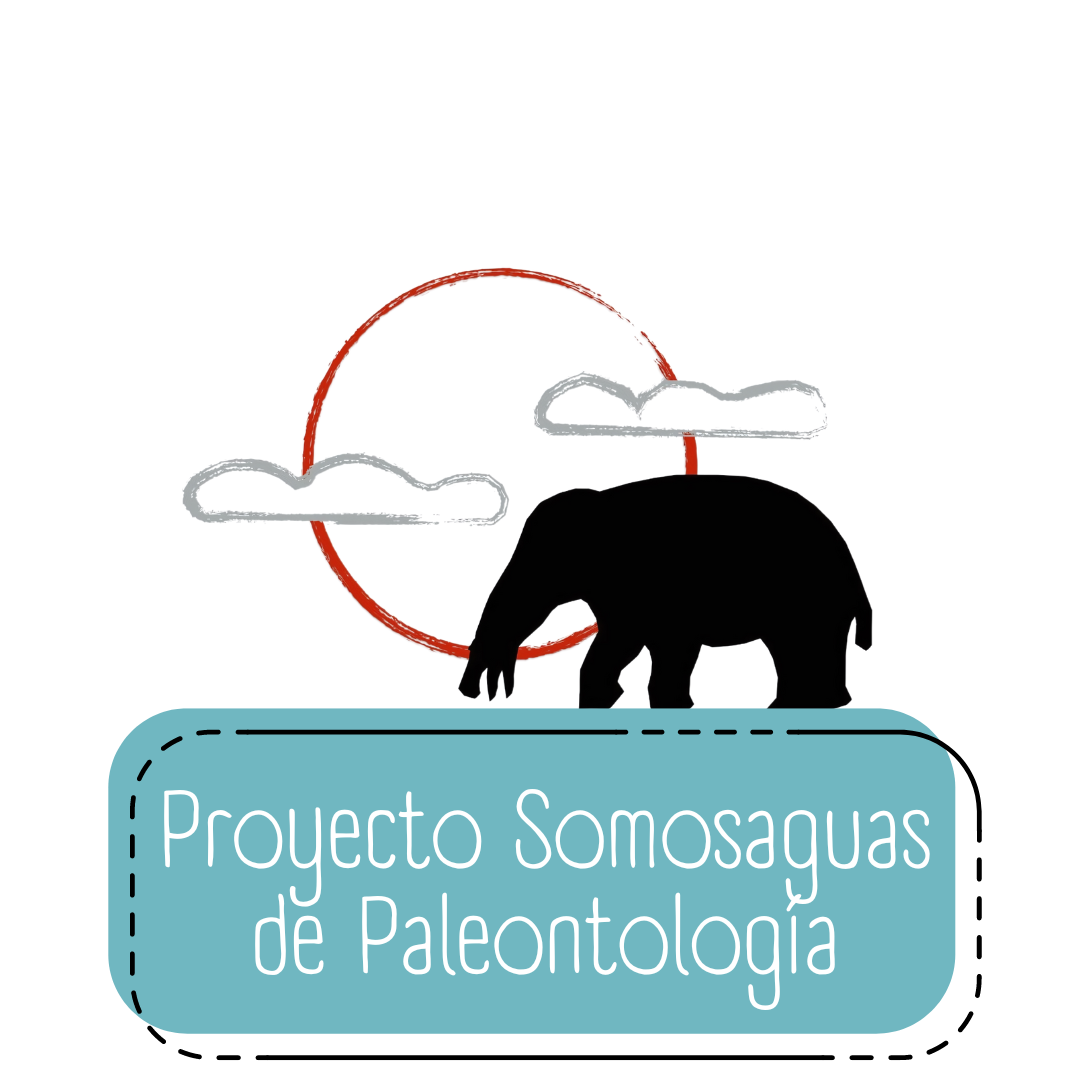 Proyecto Somosaguas de Paleontología