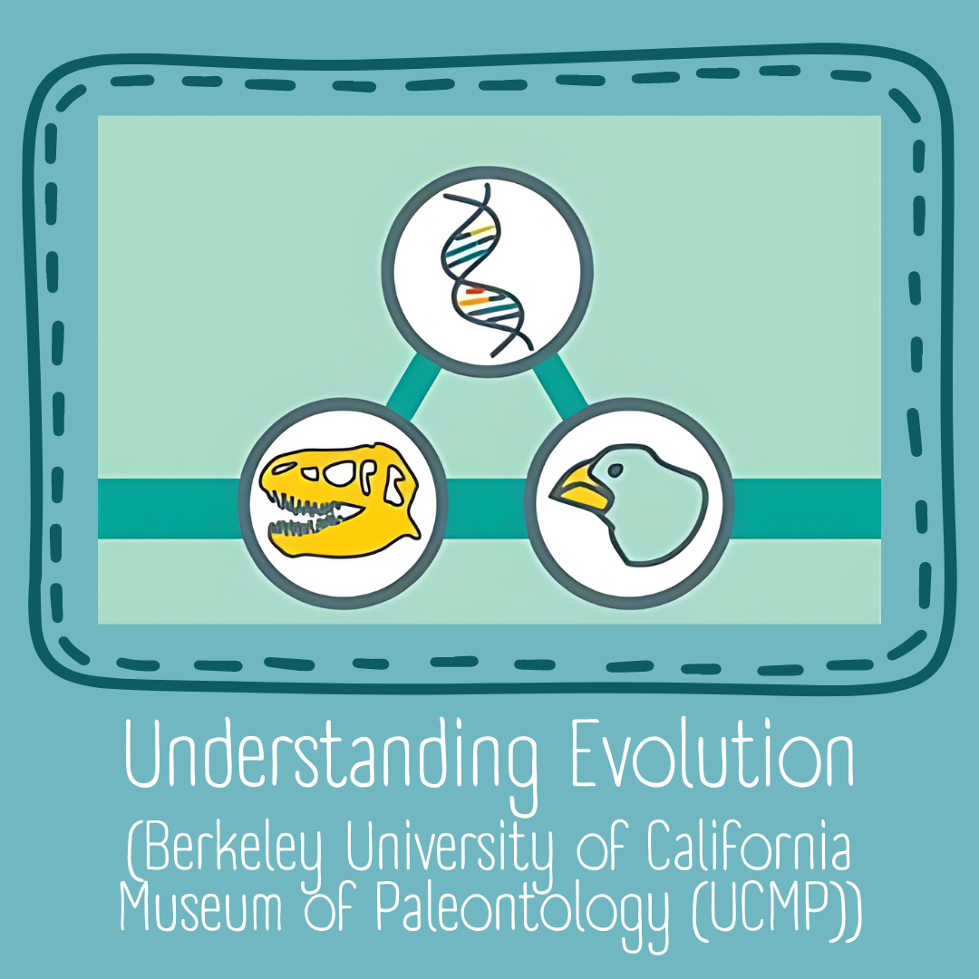 Understadnding evolution