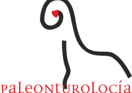 Abierta la convocatoria del Premio Internacional de Investigación en Paleontología- Paleonturología 19