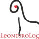 Abierta la convocatoria del Premio Internacional de Investigación en Paleontología- Paleonturología 19