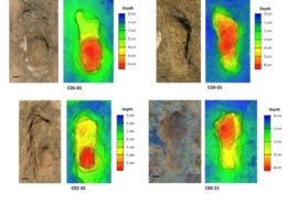 Descubiertas en Larache las huellas humanas más antiguas del norte de África.