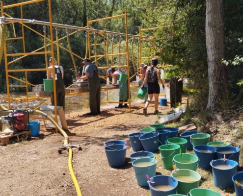 El clima de la sierra de Atapuerca a lo largo de más de un millón de años