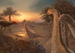 El éxito evolutivo de los dinosaurios saurópodos pudo estar en su cadera