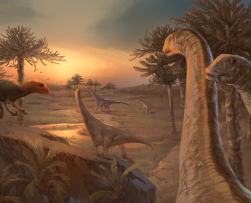 El éxito evolutivo de los dinosaurios saurópodos pudo estar en su cadera