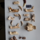 Identifican dos nuevas especies de tigre dientes de sable de hace 5 millones de años en Sudáfrica