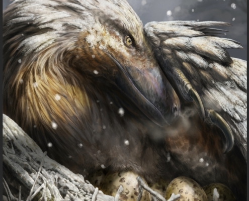 La evolución de la regulación térmica en las aves podría tener origen en los dinosaurios del Jurásico