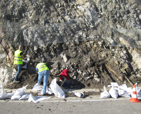 Pontils el yacimiento de hace 40 millones de años