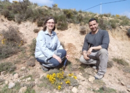 Teruel también existe en el estudio del cambio climático, pero actúa a la inversa del resto del mundo