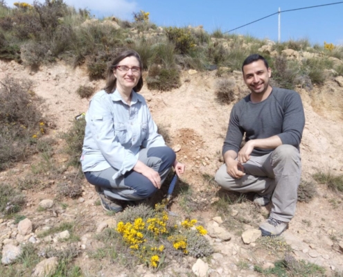 Teruel también existe en el estudio del cambio climático, pero actúa a la inversa del resto del mundo