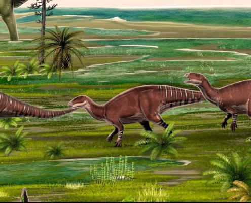 Un nuevo tipo de dinosaurio descubierto en Alpuente