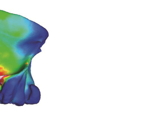 Una nueva hipótesis sobre por qué los osos de las cavernas se extinguieron durante los últimos episodios de cambio climático del Pleistoceno