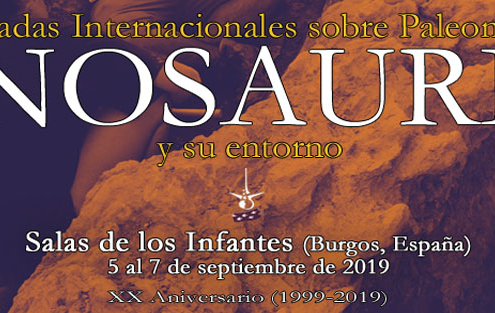 VIII Jornadas Internacionales sobre Paleontología de Dinosaurios y su Entorno
