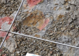 Vandalismo en Coll de Nargó