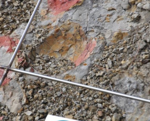 Vandalismo en Coll de Nargó