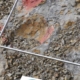 Vandalismo en Coll de Nargó