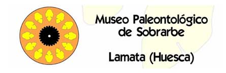 museo_paleontologico_de_sobrarbe
