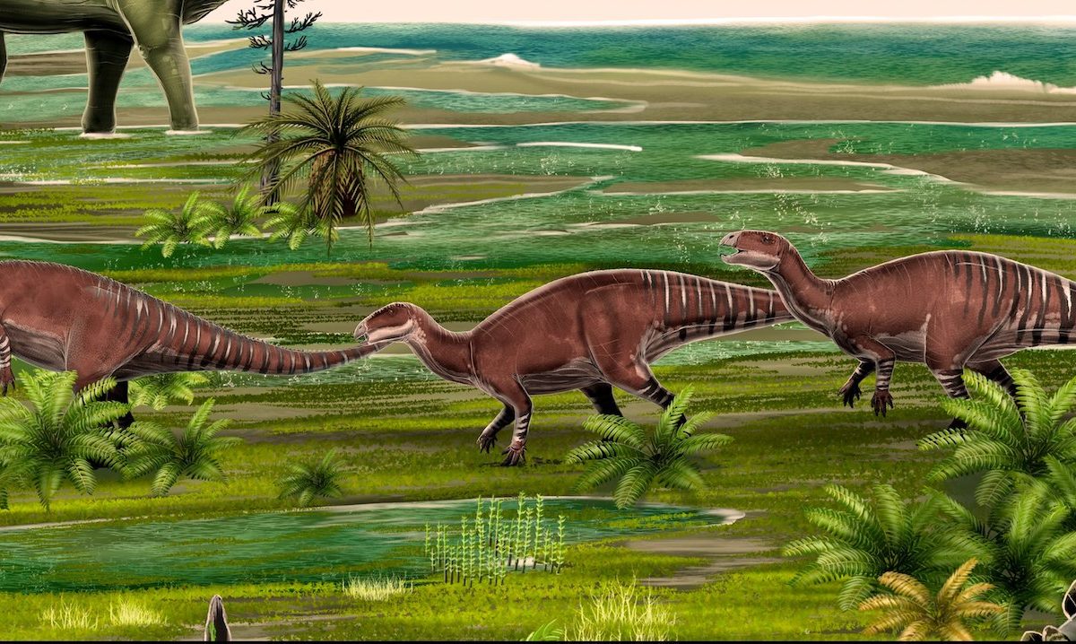 New dinosaur in Alpuente illustration by Adrián Blázquez Riola