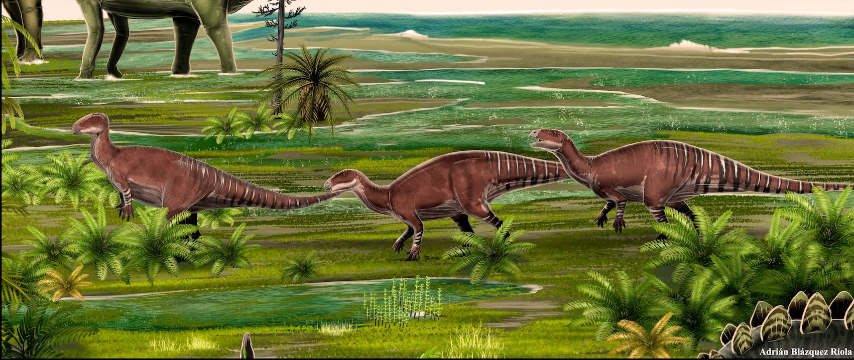 Un nuevo tipo de dinosaurio descubierto en Alpuente - Sociedad Española de  Paleontología