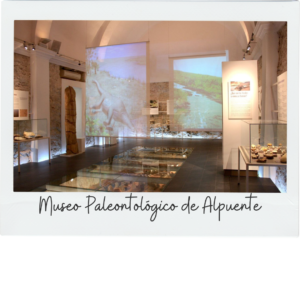Museo Paleontolólgico de Alpuente